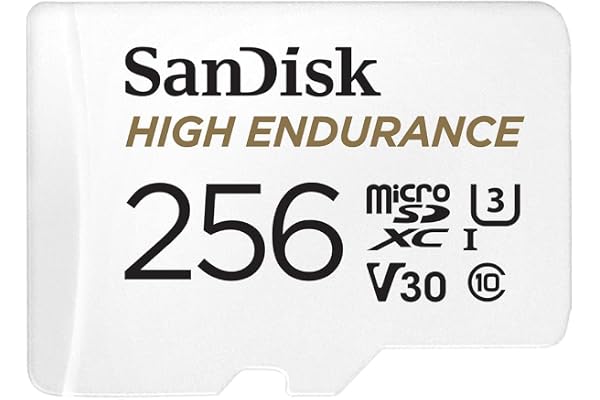 SanDisk 256GB High Endurance Video microSDXC Card with Adapter for Dash Cam and Home Monitoring Surveillance Systems - C10, U3, V30, 4K UHD, Micro SD Card - SDSQQNR-256G-GN6IA