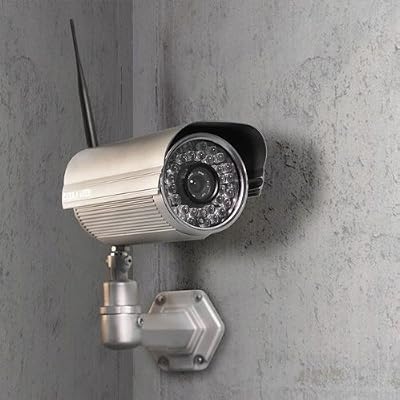 Aquila Vizion Life Vizion Outdoor HD720P Caméra IP sans fil Wi-Fi Argent