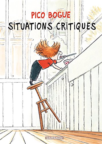 couverture de : Situations critiques