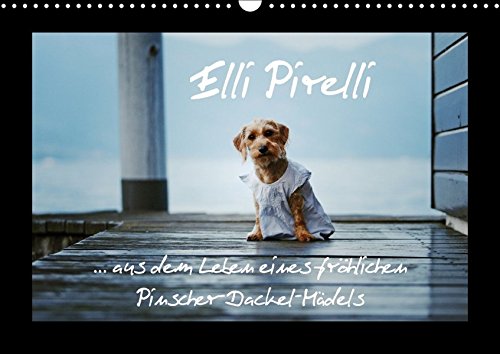 Elli Pirelli... aus dem Leben eines fröhlichen Pinscher-Dackel-Mädels (Wandkalender 2018 DIN A3 quer): ... aus dem Leben eines fröhlichen ... ... [Kalender] [Apr 01, 2017] Köntopp, Kathrin