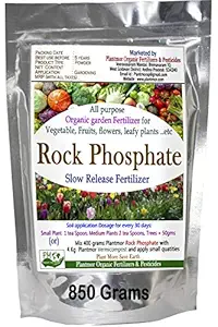 Plantmor Organic Fertilizers & Pesticide Organic Rock Phosphate Powder 850 Grams, Slow Release Fertilizer Phosphorus 18% Exclusive for All Flowering Plants Roses.etc