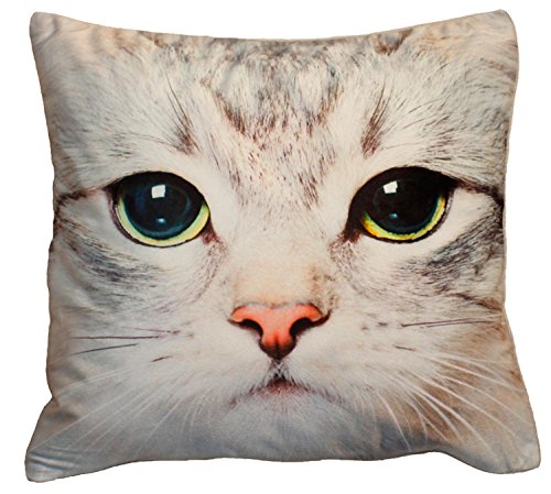 Kissenhülle Fotodruck Kurzplüsch Kissenbezug Deko Kissen ca. 40x40 cm #1329 Katze A