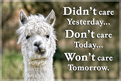 Alpaca / Llama Funny Fridge Magnet - Happy Birthday Gift for your slightly weird friend