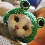 Zanteca - Gorro de punto para mascota, diseño de rana, color verde