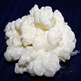 40g Fungus/Nodules/Bulgarian Milk Kefir Fresh and Live - KEFIRALIA | Instructions, recipes and personalized help included &middot; f