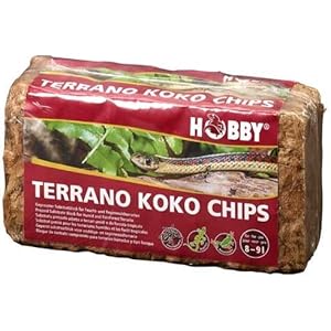 Terrano Koko Chips