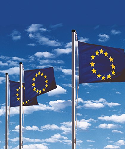 Fahnenmast STAHL 575 cm - 2