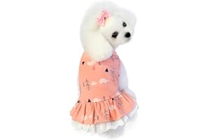 Barrageon Hunde Kleid Süß Prinzessin Rock Kleidung Welpe Katze Für Kleine Haustier Mittelgroße Sommerkleidung Bowknot Hundekatze (Rosa-S)