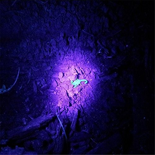 Delipop 100 Leds 395nm UV Blacklight Taschenlampen Bestrahlungsbereich für die Erkennung von Skorpionen Pet Urin Fleck Gefälschte Währung - 9