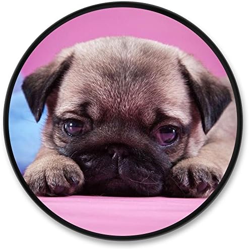ShuangYuan Stylish Phone Holder and Mounts,Expanding Stand and Grip Pop Mount Socket for Smartphones&amp;Tablets-Cute dog