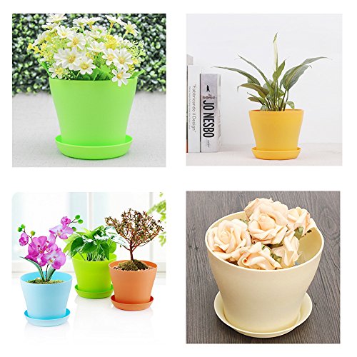 Whonline 6 Stück bunte Runde Blumentopt Pflanzkübel mit Untersetzer, 80g 4-7mm Weißer Pflasterstein, 1 Set Schaufel, 1 Verpflanzen Wergzeug - 7