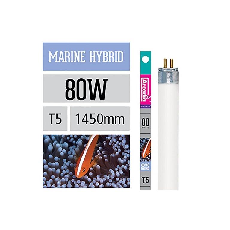 Arcadia Marine Hybrid T5 Lampe 80 Watt Meerwasser Aquarium Korallen
