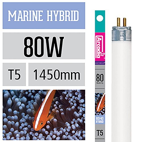 Arcadia Marine Hybrid T5 Lampe 80 Watt Meerwasser Aquarium Korallen