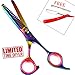 Produktbild Black Friday Deal - 6.5 Zoll-Pet Haare schneiden Grooming Scissor,Professionelle Haustiere Komplett-Pflege-Set Hundepflege grooming Schere , Rostfreier Stahl Hunde-Haarschere Metall Haustier Pflege Kamm oder Fellpflegewerkzeug