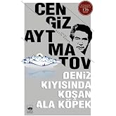 Deniz Kıyısında Koşan Ala K&ouml;pek