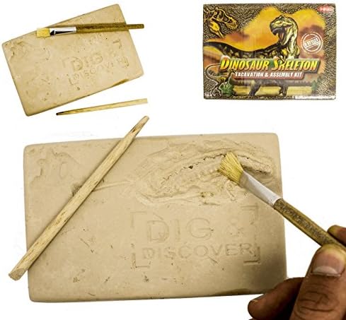 Golden Deals - Dinosaur Fossils a Digging Kit - Gift For Kids, Boys, Girls, Teens, Teenager, Son, Daughter - Hand Wrist Toy - One Supplied Random Color