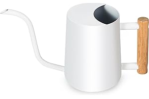 GUKJOB - Arrosoir pour plantes d'intérieur - 1 l - Petit arrosoir d'intérieur en métal et acier inoxydable - Arrosoir décoratif moderne avec long bec pour la maison, les bonsaï, les fleurs d'extérieur