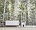Produktbild Fototapete 3D Effekt Tapete Moderne Einfach Von Hand Bemalt Baum Betula Wald Vliestapete 3D Wallpaper Moderne Wanddeko Wandbilder
