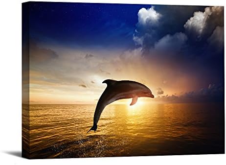 1 Piece With Framed Prints Artwork Dolphin Animal Pictures Paintings on Canvas Wall Art for Home Decor 12"X16" Ready to Hang