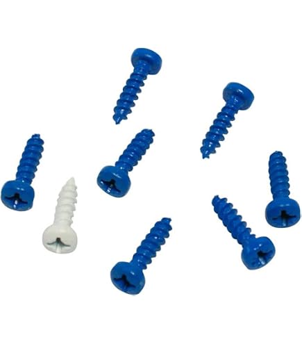 12 viti e tappi per targa auto, in acciaio inox 304, tappi a vite per targa 12 viti e tappi per targa auto, in acciaio inox 304, tappi a vite per targa