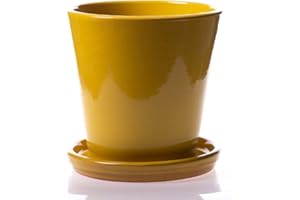 ALFAREROS DAMIAN CANOVAS Maceta DE Barro ESMALTADA EN Color Amarillo+ Plato. Modelo CAÑA 2. Medidas 23X21.