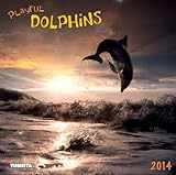 Playful Dolphins, Broschürenkalender 2014 (What a Wonderful World) by 