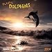 Playful Dolphins, Broschürenkalender 2014 (What a Wonderful World) by 