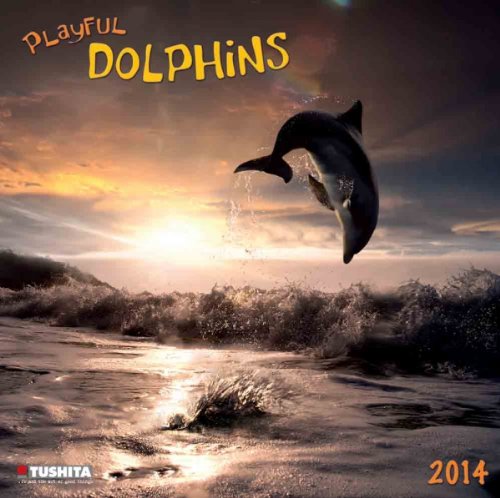 Playful Dolphins, Broschürenkalender 2014 (What a Wonderful World)