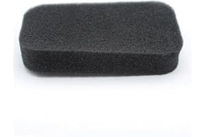 FROINY Mousse De Filtre À Air 2 Pcs pour Gx160 Gx200 168f 5.5hp Pièces De Générateur De Moteur De Moteur De Moteur À 4 Cycles À 4 Cycles