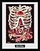 Produktbild GB Eye Rick und Morty, Anatomie Park Poster, gerahmt, 30 x 40 cm, Verschiedene
