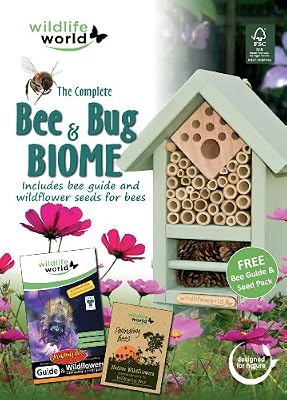 Wildlife World Coffret Biome Abeilles et Insectes avec Guide et Sachet Graines