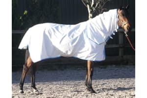 PESSOA Ayr Cool Summer Sheet Combo (6'3")