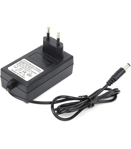 Alimentatore 12V Per Poltrona Massaggiante VidaXL 240064 – Top Chargeur, Adattatore AC-DC Con Protezione Di Sicurezza