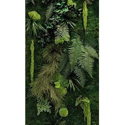 Mur végétal intérieur stabilisé kit