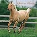 Quarter Horses 2009 by 