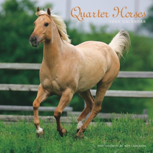 Quarter Horses 2009