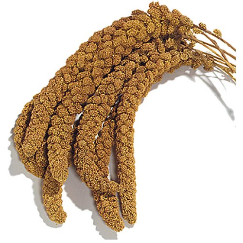 2.5 kg Millet Pulvérisations Vendu par Maltby de