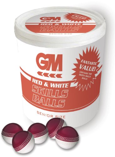 Gunn & Moore GM Cricket Training Ball, Skills Ball Bucket & 24 Skills Balls, Red/White, Size