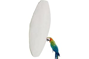 Kekou 10 Pezzi di Osso di Seppia per Uccelli,Osso di Seppia Naturale Uccelli Calcio e rettili Articoli Sanitari - Osso di Seppia per parrocchetti Budgies Cockatiels Tartarughe Lumache Piccoli Animali