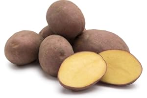 AMOREBIO Obst & Gemüse Bio Kartoffel rot vfk (1 x 1000 gr)