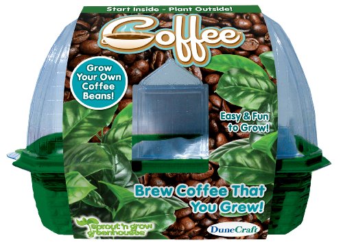 Preisvergleich Produktbild DuneCraft 22857 Grow Your Own Kaffeepflanze