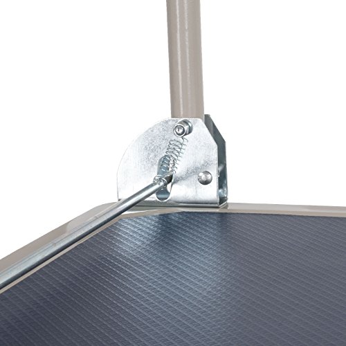 Plattformwagen 300 kg luftbereift Transportwagen Handwagen Transportkarre SN300C - 7