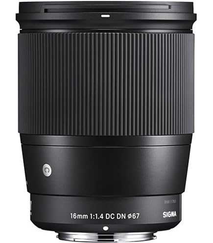 Sigma obiektyw 28-70 mm F2,8 DG DN mocowanie Sony E : Amazon.pl