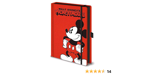 case notebook mickey