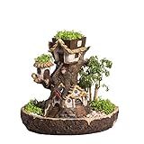 deko für gartenparty selbstgemacht 4. Toll in Kombination mit Sukkulenten, Moos, Farn, und anderen kleinen Blumen, tolles Geschenk für Kinder und Menschen die Bonsai und Containergärtnern mögen.