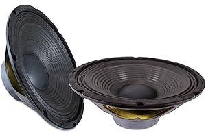 SKYTEC Skytronic 12-Inch Professional Woofer Speaker Drivers – 2-Pack 700W Peak Power Replacement Subwoofers with 8-Ohm Impedance and Durable Construction for PA Systems and Custom Audio Projects