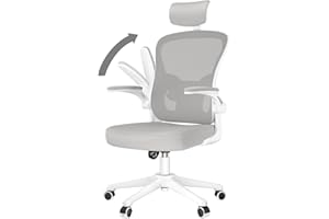 naspaluro Sedia da Ufficio, Sedia Ufficio Ergonomica, Poltrona Ufficio con Poggiatesta e 90° Bracciolo Regolabile, Sedia scrivania Traspirante con Supporto Lombare, Grigio