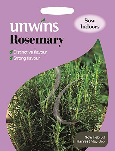 Pictorial Packet - Herb Rosemary - 90 Seeds