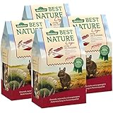 Dehner Best Nature Degufutter, 500 g, 4er Pack (4 x 500 g)