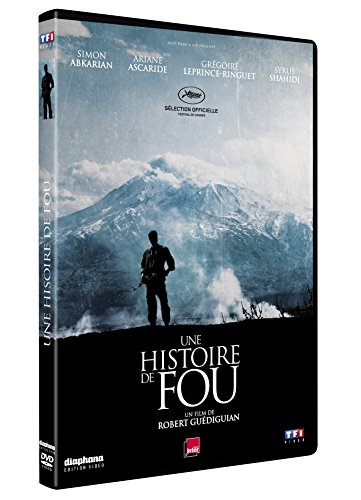couverture de : Une histoire de fou